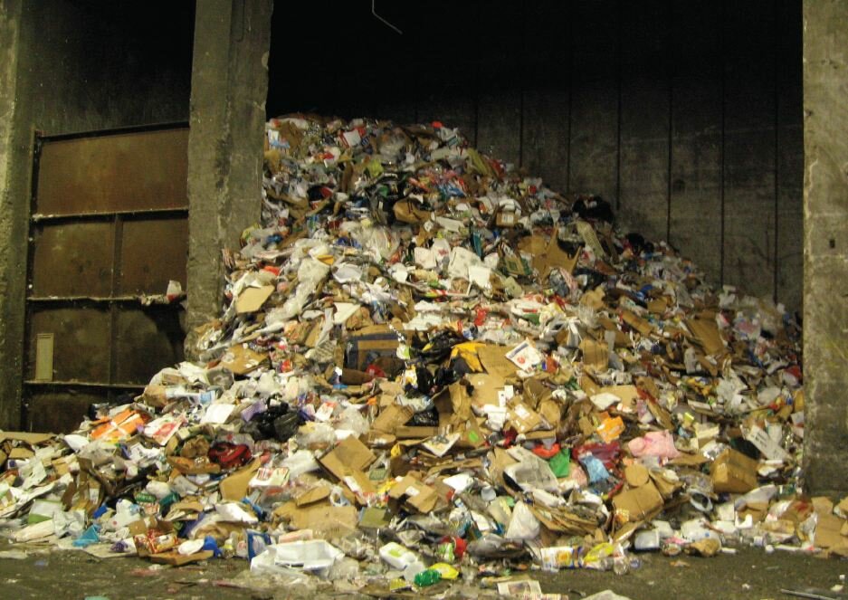 AdamVaccaroWMtrash
